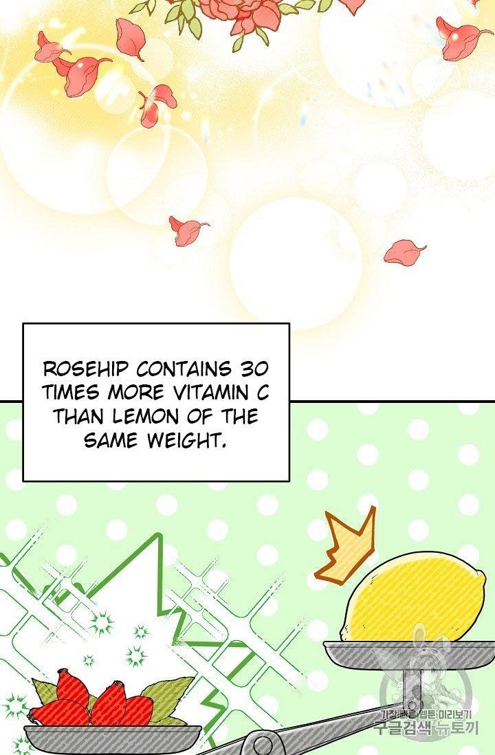 The Duchess 50 Tea Recipes - Chapter 62 Page 8