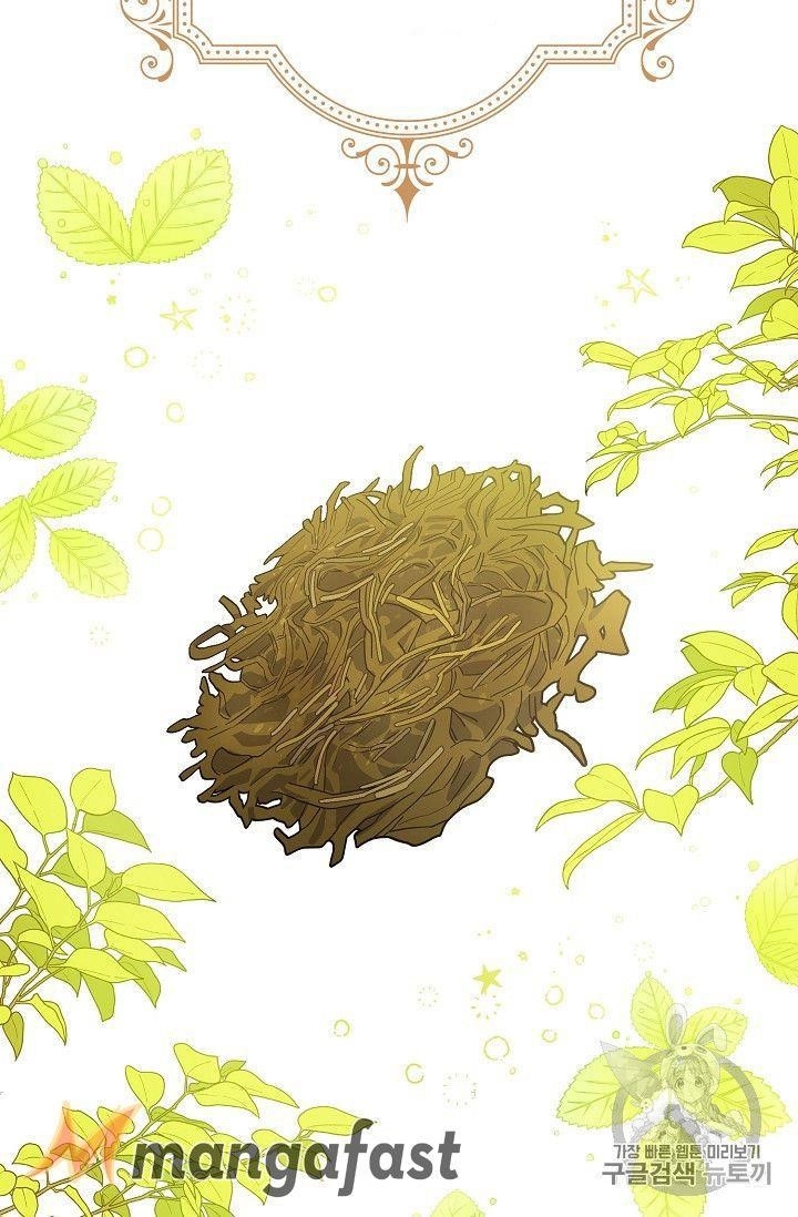 The Duchess 50 Tea Recipes - Chapter 77 Page 15