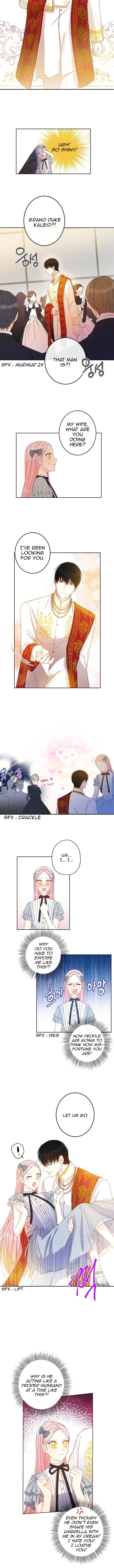 This is an Obvious Fraudulent Marriage - Chapter 24 Page 4
