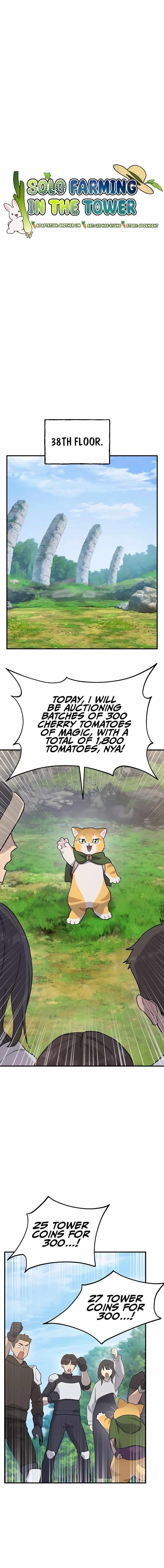 Solo Farming In The Tower - Chapter 26 Page 6