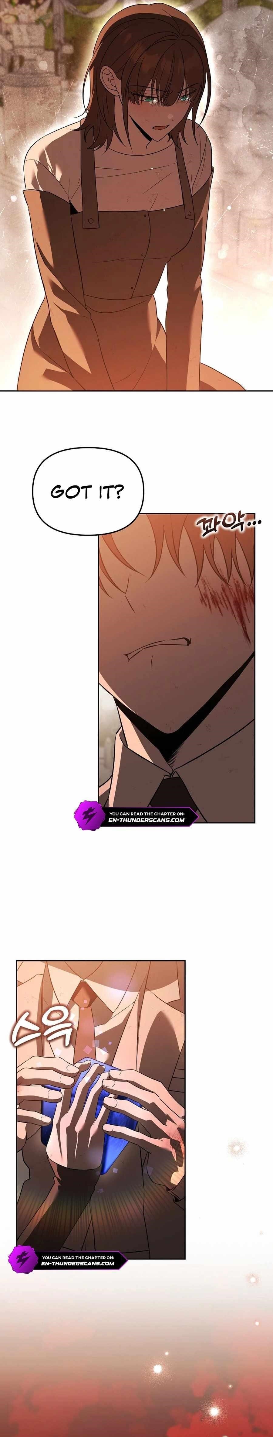 The Genius Tamer of the Academy - Chapter 49 Page 24