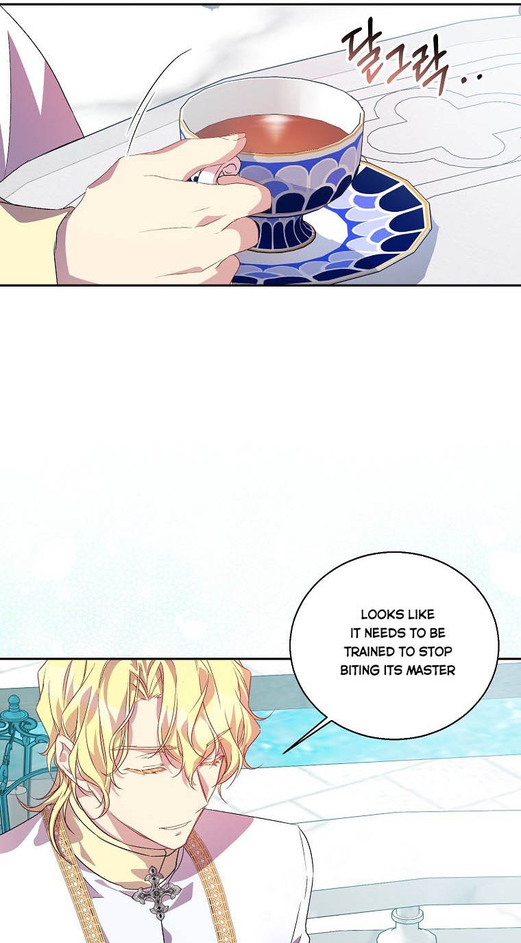 I'm a Fake Saintess but the Gods are Obsessed - Chapter 14 Page 37