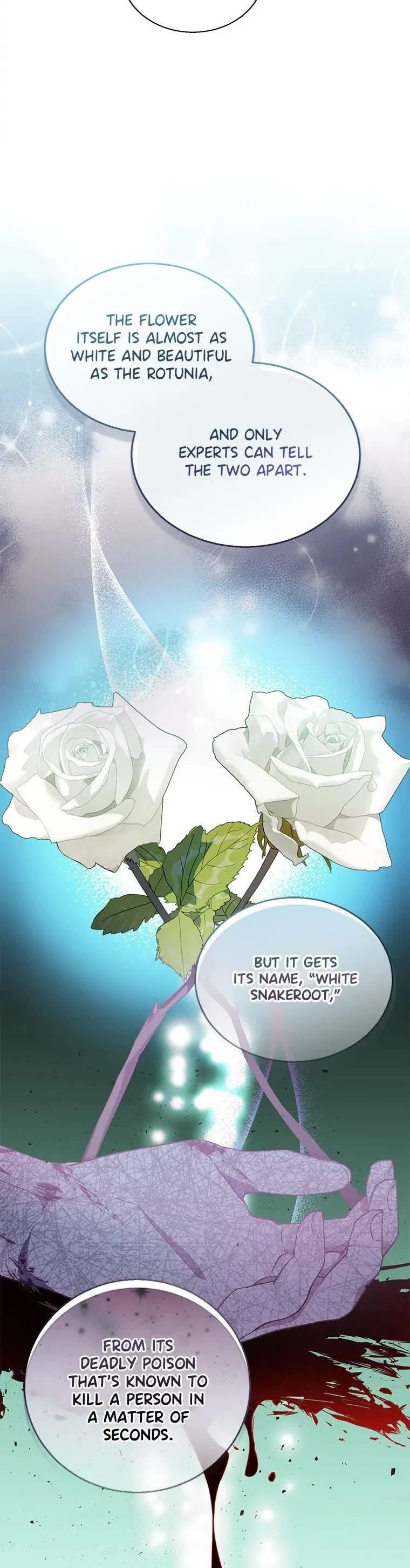 I'm a Fake Saintess but the Gods are Obsessed - Chapter 34 Page 24