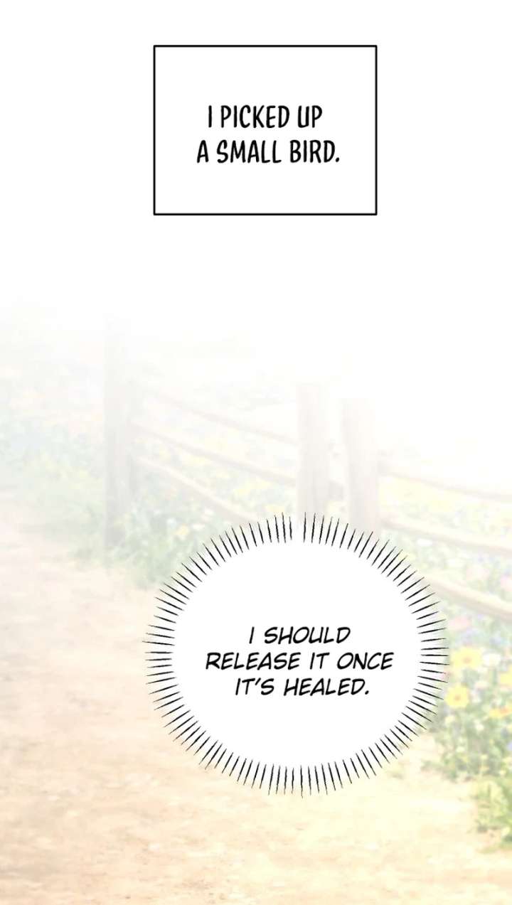 I Adopted a Male Lead From a Prison Shelter - Chapter 104 Page 12