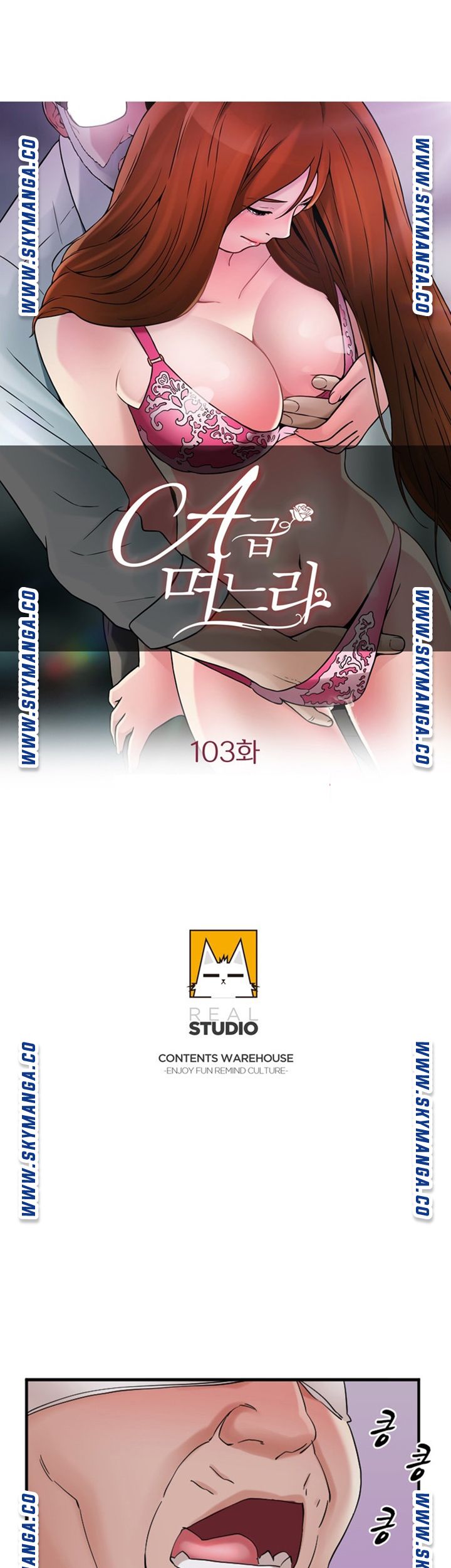 A-class daughter-in-law Raw - Chapter 103 Page 5