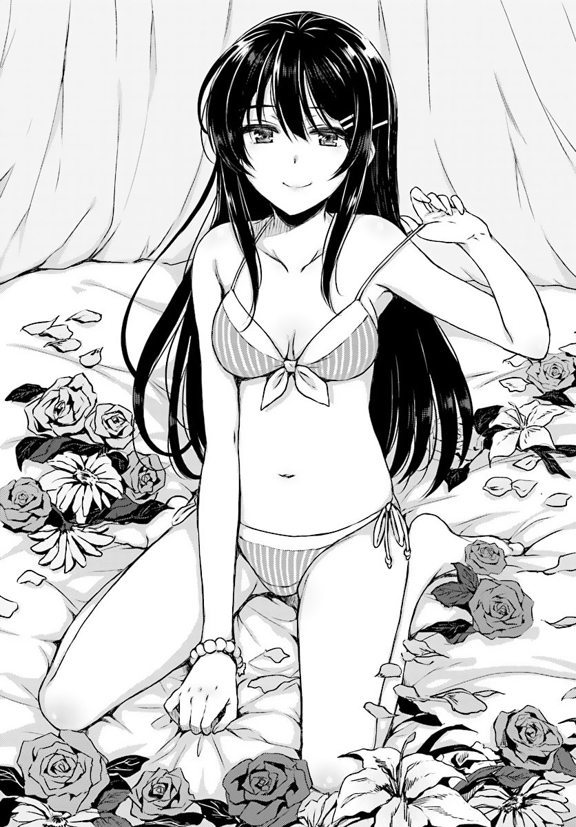 Seishun Buta Yarou wa Bunny Girl Senpai no Yume wo Minai - Chapter 9 Page 6