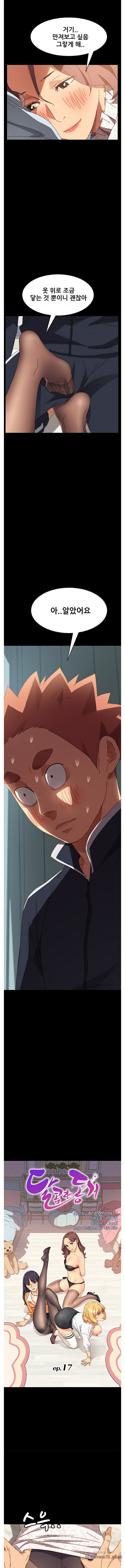 Sweet Cohabitation Raw - Chapter 16 Page 1