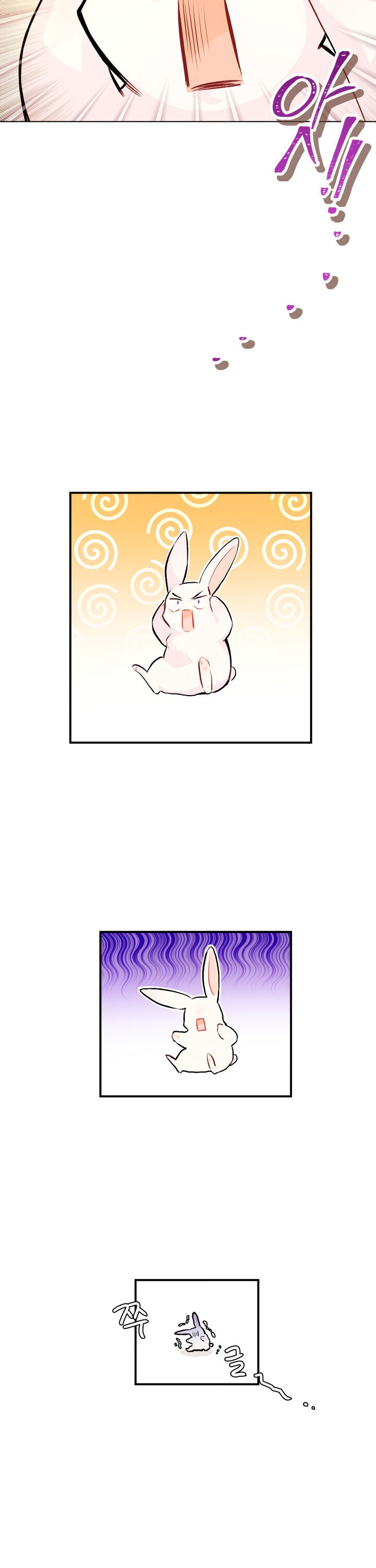 The Symbiotic Relationship Between A Rabbit and A Black Panther - Chapter 5 Page 17