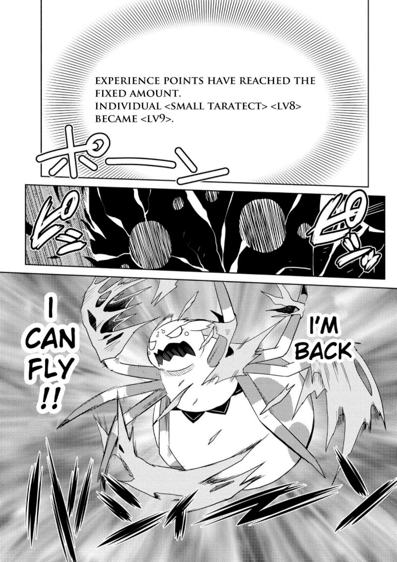 Kumo desu ga, Nani ka? - Chapter 14.3 Page 7