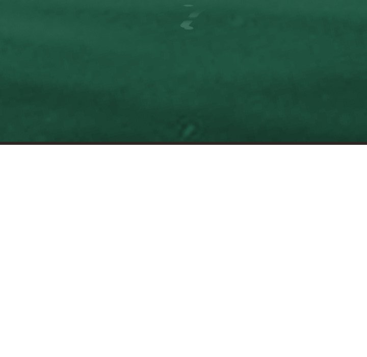 The Wanderer - Chapter 65 Page 107